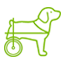 Browse Special Needs Pet product
